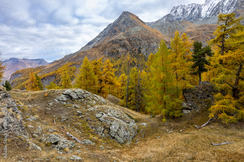 Swiss alpine landscape in autumn