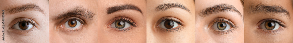 Naklejka premium Collage with brown eyes of different people, closeup