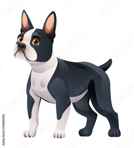 Boston terrier dog vector cartoon illustration