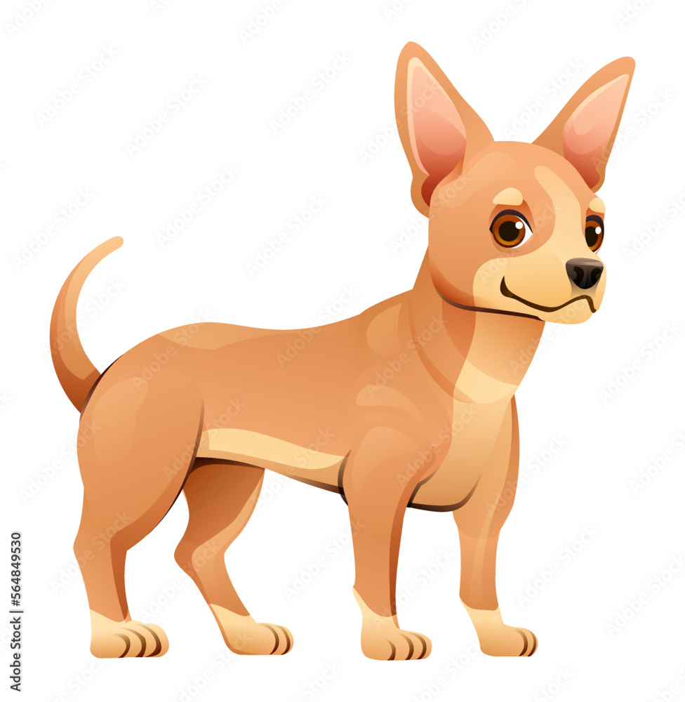 Chihuahua dog vector cartoon illustration
