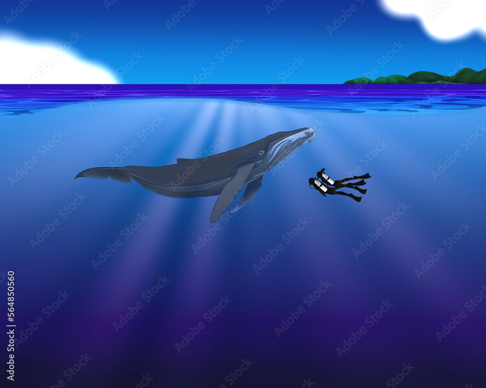 Humpback whale and scuba diver, half underwater illustration	
