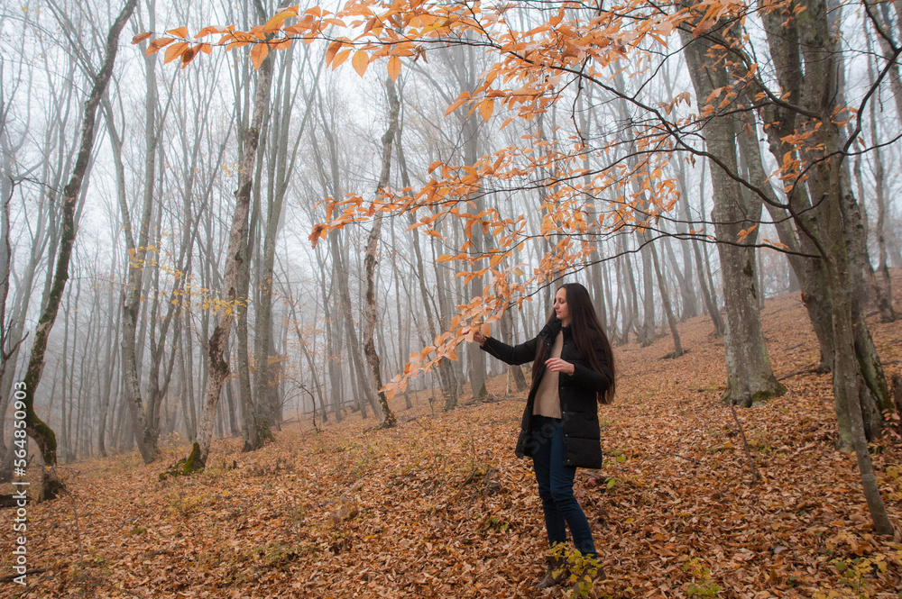 Walk in the autumn forest Walk in the autumn forest