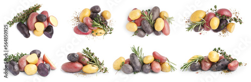 Group of different tasty potatoes on white background photo