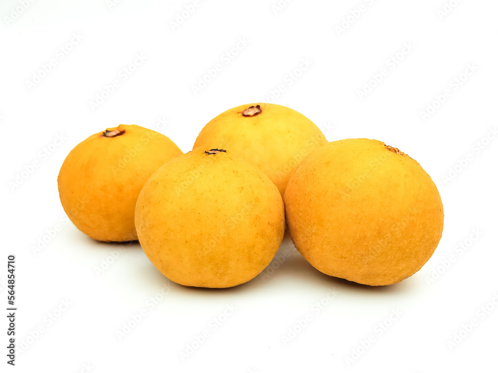 Ripe organic yellow santol Sweet and sour fruit that can be used to cook a variety of dishes both savory and sweet It is high in vitamin C which is beneficial to the body. put on a white background. Ripe organic yellow santol Sweet and sour fruit that can be used to cook a variety of dishes both savory and sweet It is high in vitamin C which is beneficial to the body. put on a white background.