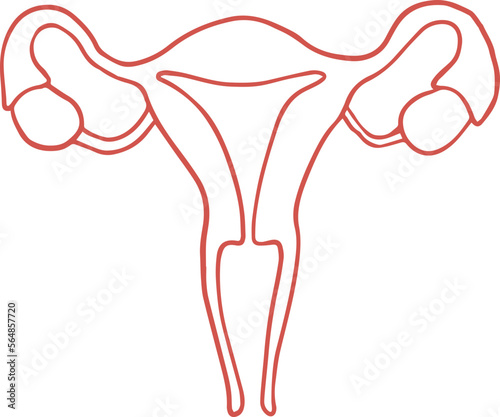 Uterus 