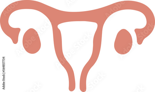 Uterus 