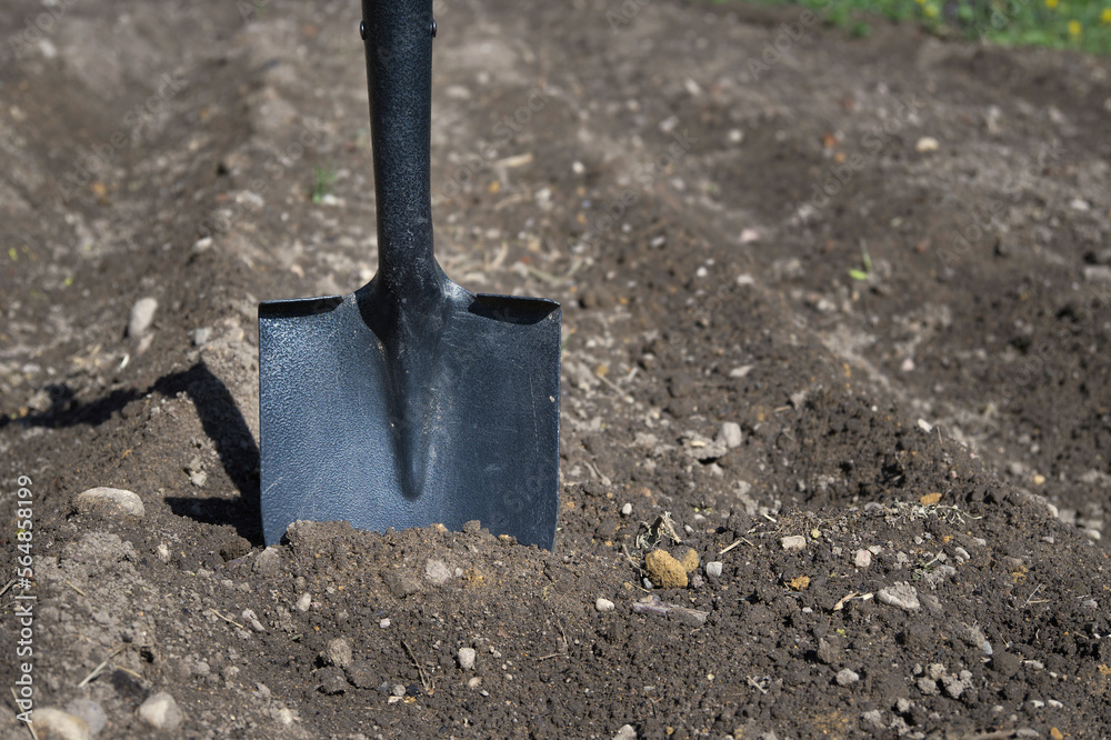 Shovel stuck to the cultivated ground Shovel stuck to the cultivated ground
