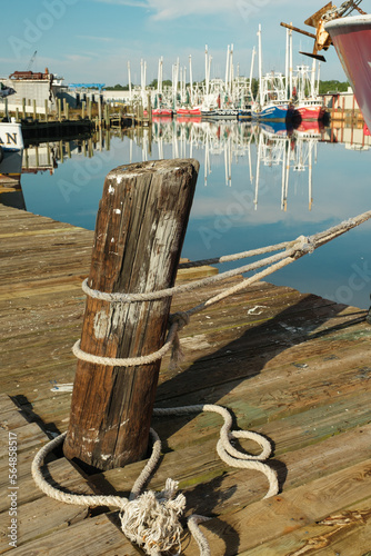 Fishing Docks in Alabama photo