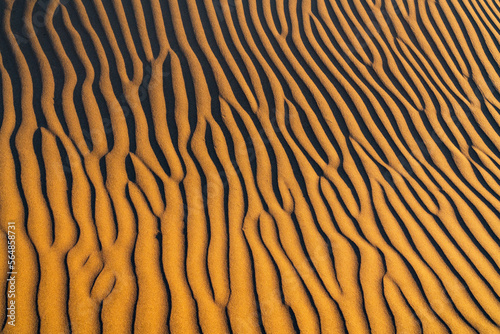 Sand Dunes in the Namib Desert, Namibia, Africa.