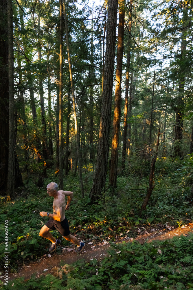 Man training and running on trails in the forest. Man training and running on trails in the forest.