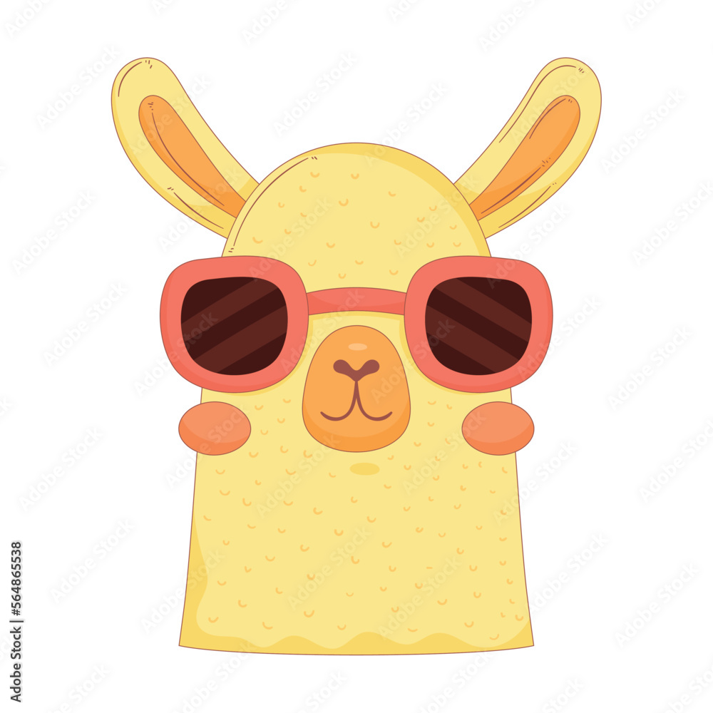 Fototapeta premium llama perubian wearing sunglasses