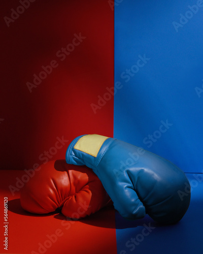 Political Boxing Gloves Divided
