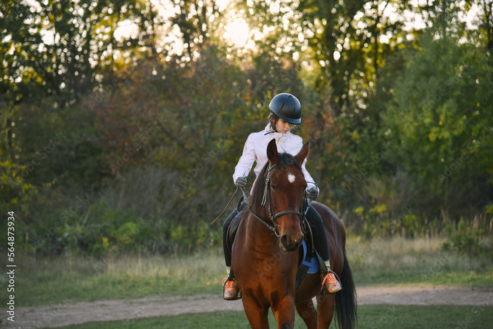 My lovely horse
My lovely horse