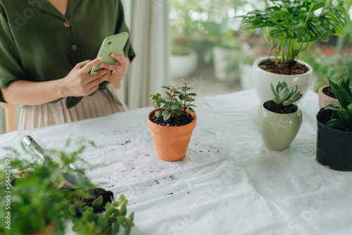 Woman taking photo of potted plant with smartphone