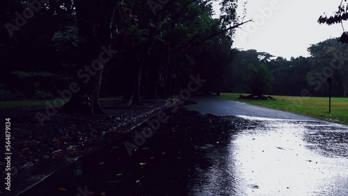 defocused blur bokeh footage of very quiet silent spooky athmosphere of public park kebun raya purwodadi jawa timur when mild rain fall in the dawn evening photo
