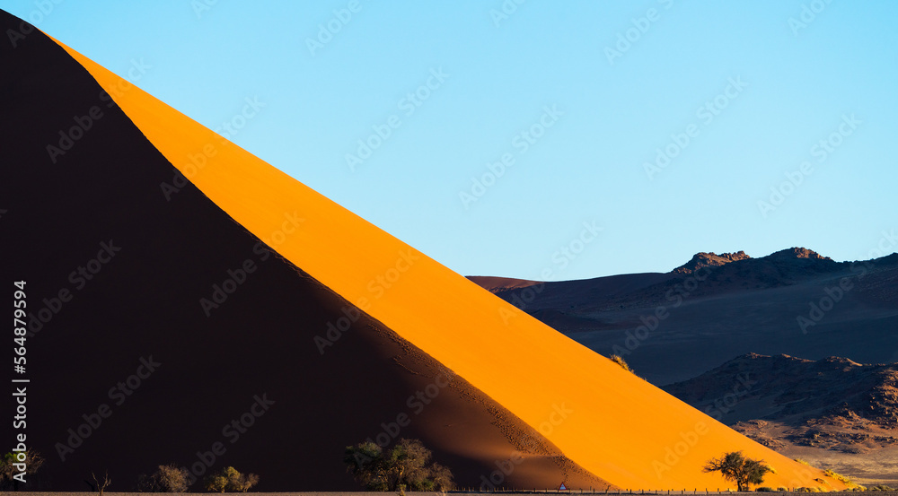 Big dune and trees in Namib desert, Namibia, Africa