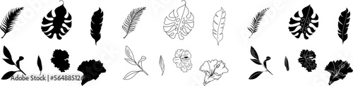 Leaf set vector with Hibiscus flower. photo