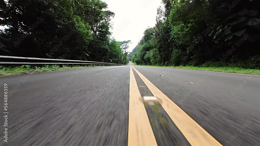 The double solid line on nature's road