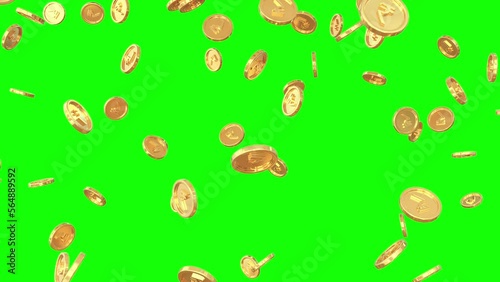 Gold coins with Rupee symbol falling down - 3D Render - Green screen video