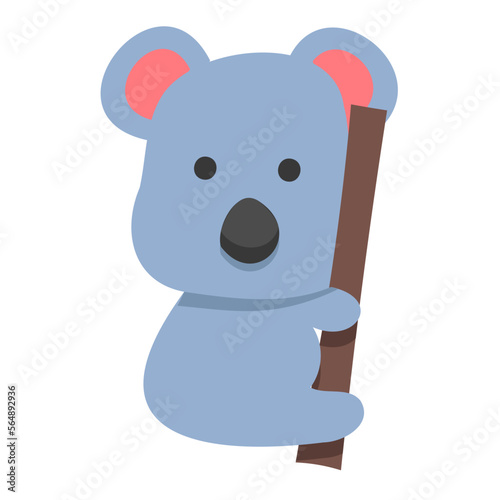 Photography KOALA
