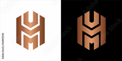 the beautiful  infinity monogram in incredibly luxury and classy style, elegant circular  logo template for a high-end brand personality