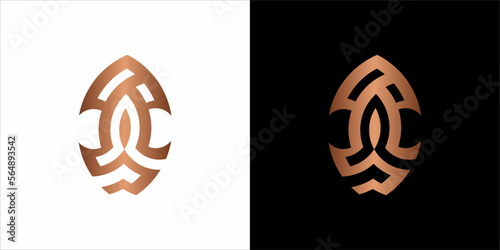 the beautiful  infinity monogram in incredibly luxury and classy style, elegant circular  logo template for a high-end brand personality