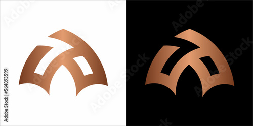 the beautiful  infinity monogram in incredibly luxury and classy style, elegant circular  logo template for a high-end brand personality