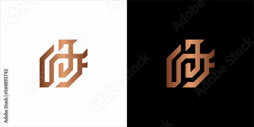the beautiful  infinity monogram in incredibly luxury and classy style, elegant circular  logo template for a high-end brand personality