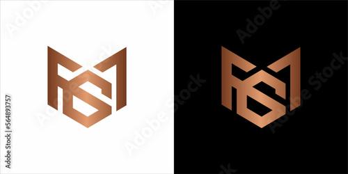 the beautiful  infinity monogram in incredibly luxury and classy style, elegant circular  logo template for a high-end brand personality