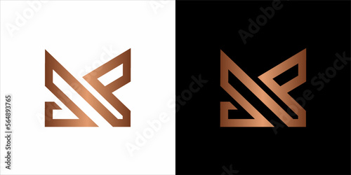 the beautiful  infinity monogram in incredibly luxury and classy style, elegant circular  logo template for a high-end brand personality