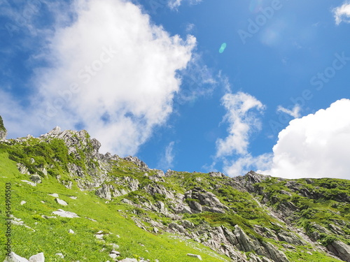 夏の高山の風景