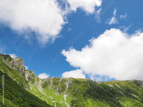 夏の高山の風景