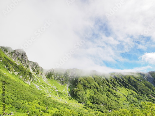 夏の高山の風景