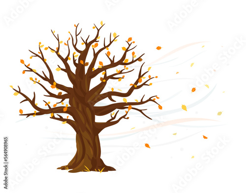 Autumn leaves fall from one wide massive old oak tree isolated illustration, majestic oak with a rough trunk and big crown, wind tears leaves from tree