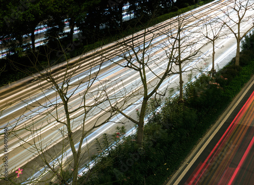 Close up of vegetative trees on a city highway 