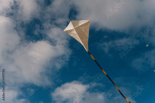 Kite flying near Durdle Door and Ocean 