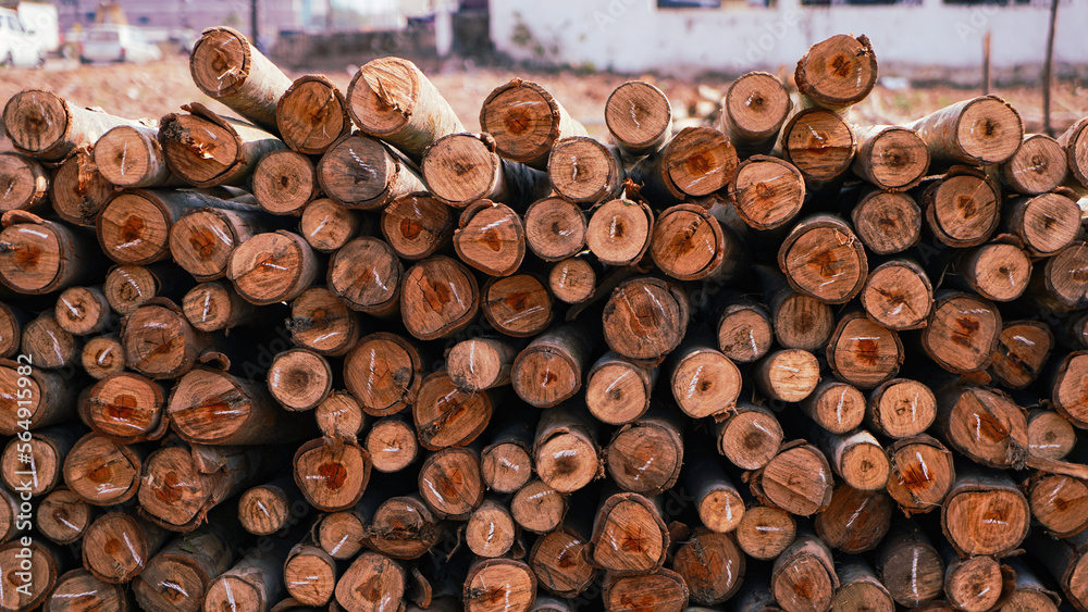 Beautiful wood kept in pattern creating a nice background, Storage place for wood logs, Stack of logs. natural wooden background with timber. log wall. pile of timber,Logging timber wood industry Beautiful wood kept in pattern creating a nice background, Storage place for wood logs, Stack of logs. natural wooden background with timber. log wall. pile of timber,Logging timber wood industry