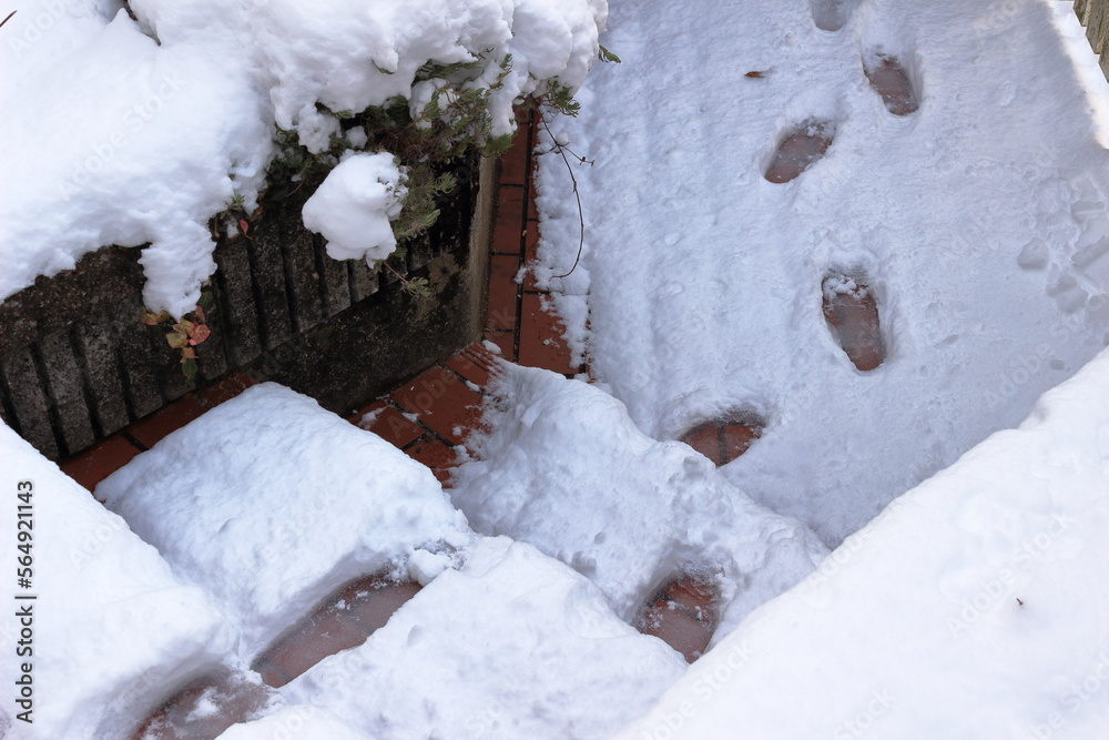 雪が積もった日のお出かけ