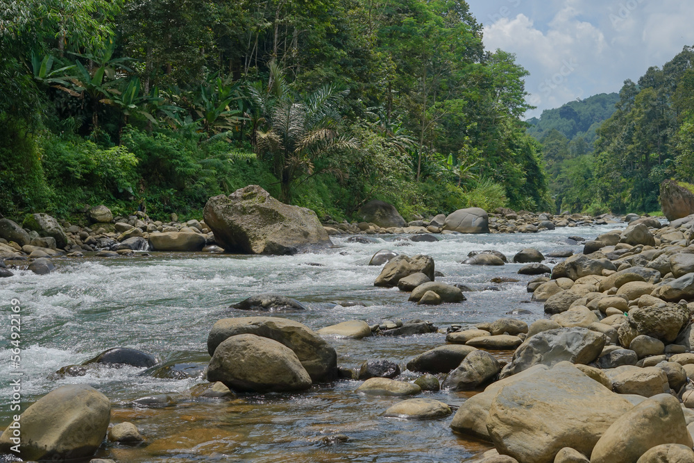 River in the Indonesia forest River in the Indonesia forest
