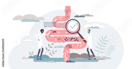 Gut flora or digestive tract microorganism diagnosis tiny person concept, transparent background. Medical stomach inspection by gastroenterologist doctor for patient with bowel.