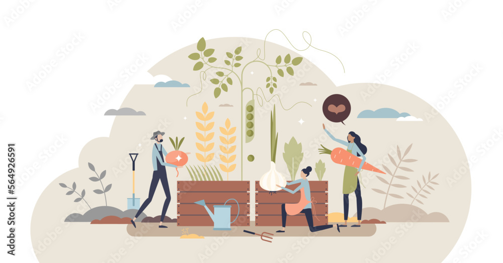 Organic farming as grow food with sustainable method tiny person concept, transparent background.Plant harvesting using green and nature friendly manure illustration.