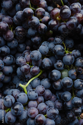 Black grapes close up
