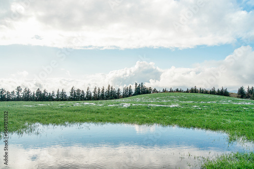 Winter field landscape. photo