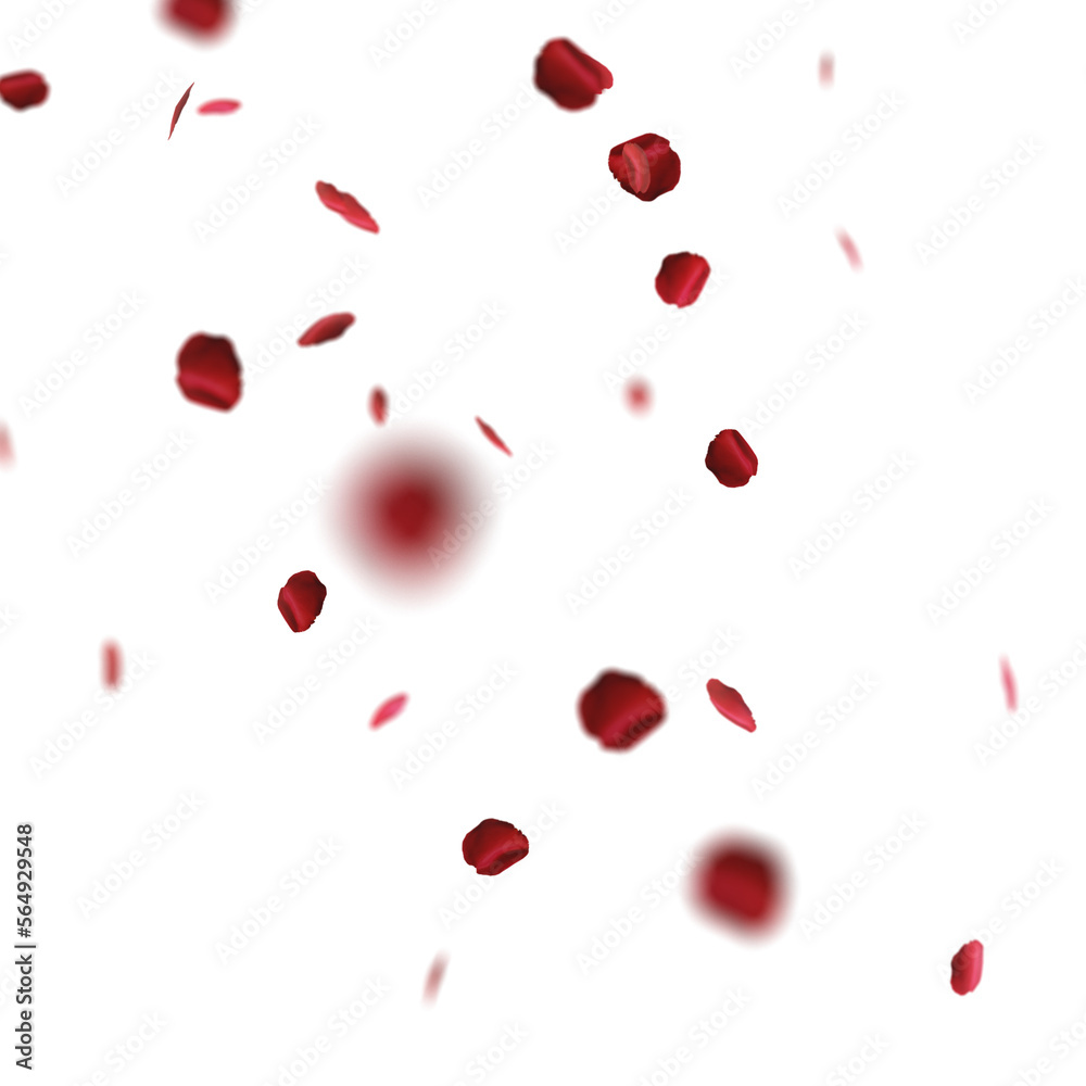 Red Roses Petals in transparent background