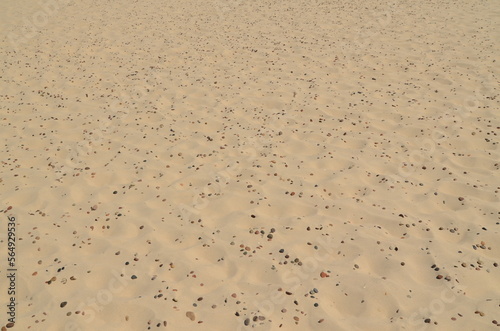 sand background with small stones