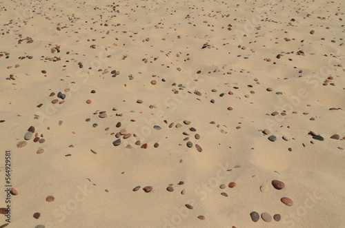 small stones on the Baltic sand 