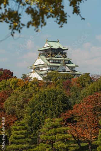 Japanese castle in autumn photo
