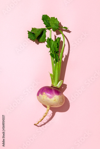 Fresh turnip