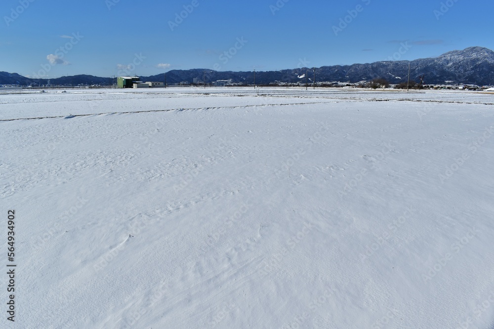 積雪した琵琶湖畔の田んぼと比叡山