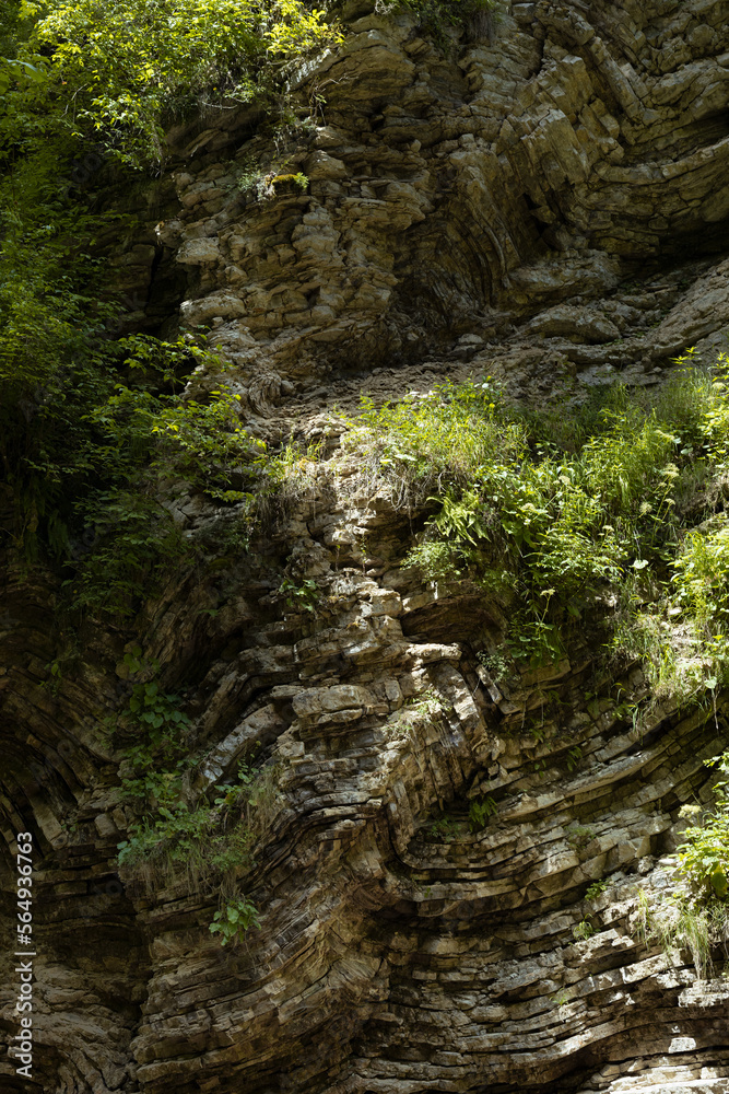 Layered rock with bizzare curved crumpled layers overgrown lush green plants in sunbeams in summer sunny day, texture, geology background, detail, vertical. Hiking and rest in wildness nature.